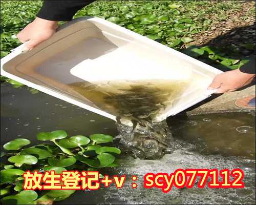 重庆寺庙放生池，重庆一研究生过生日买甲鱼放生
