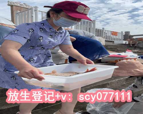 重庆放生组织联系微信，重庆老人水库边捉到1米长娃娃鱼已放生